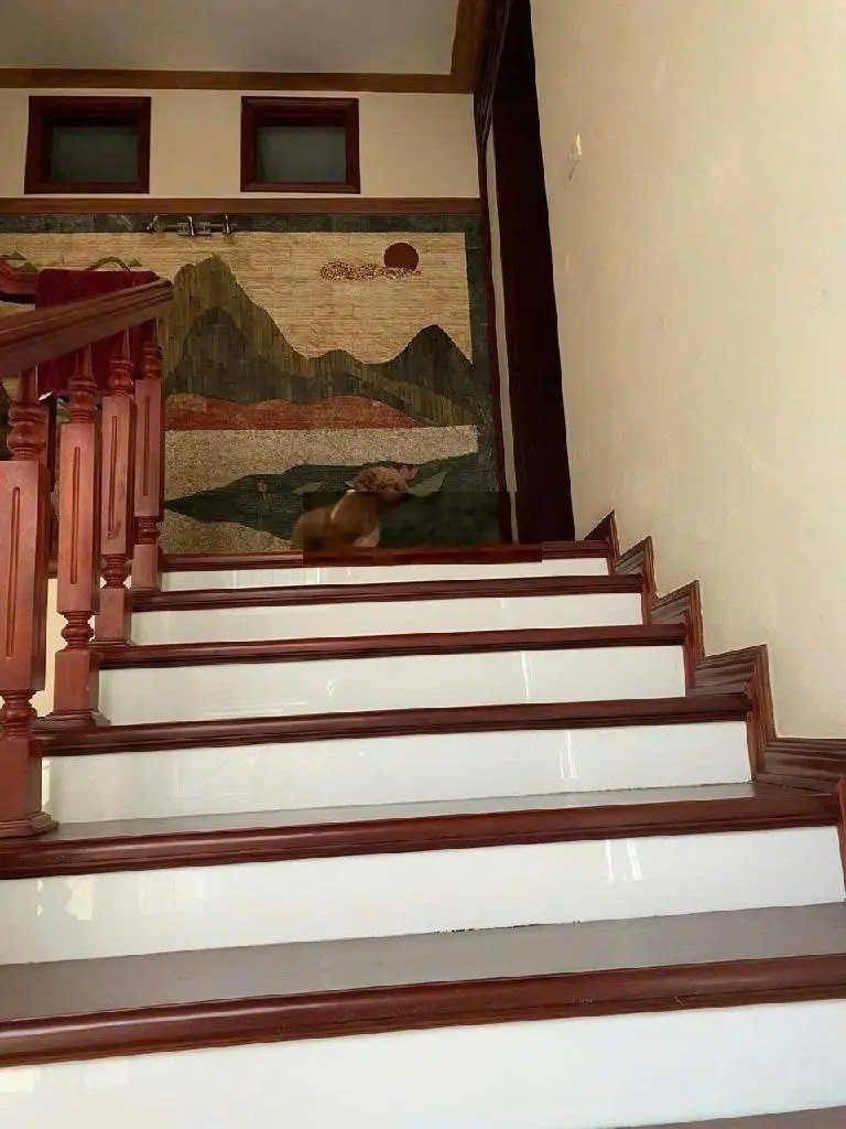 Cần bán biệt thự Trung Văn, quận Nam Từ Liêm 162m2,5 tầng, 8,5m mặt tiền, giá thỏa thuận