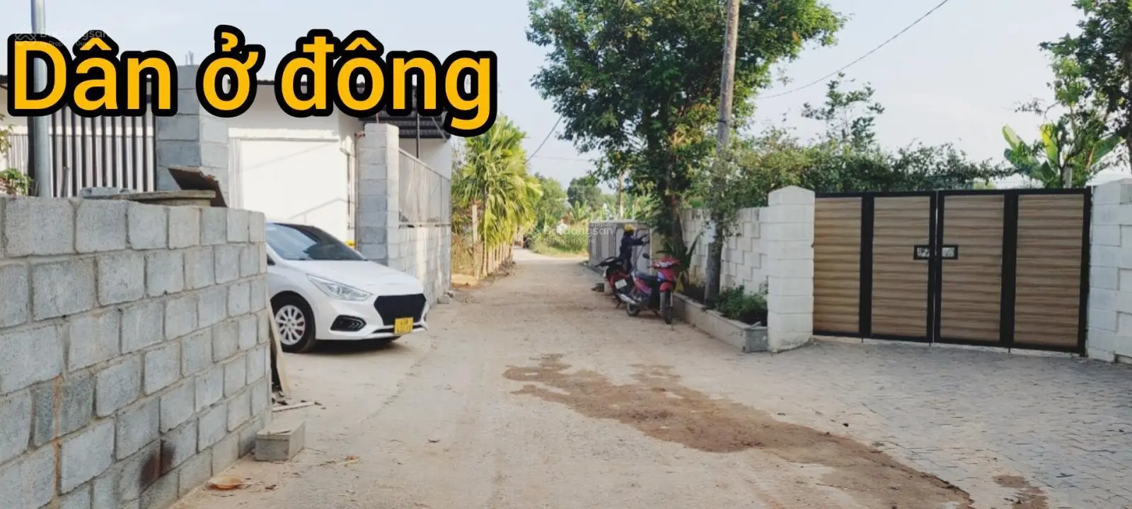 368m2 đất trồng cây hằng năm gần những nhà vườn biệt thự đẹp