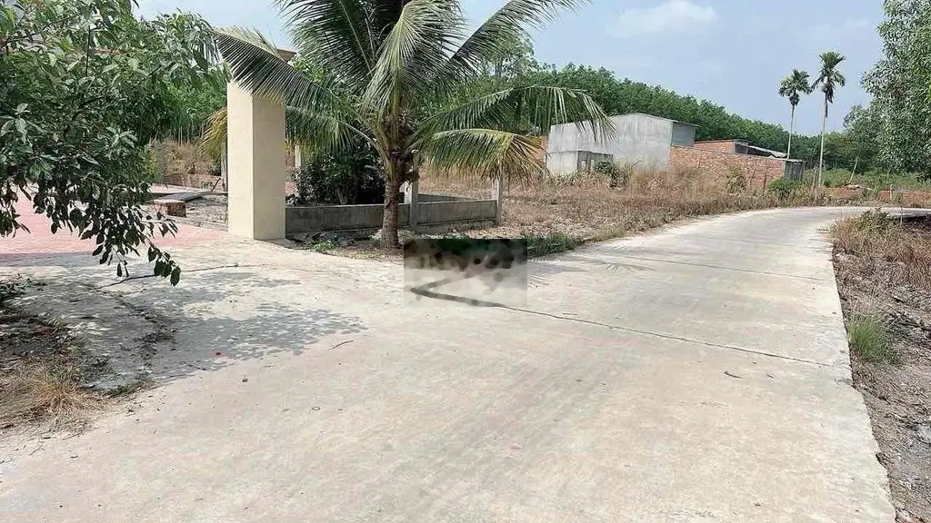 Gia đình muốn bán miếng vườn 1055m2 giá 380tr, vuông vức đẹp lắm