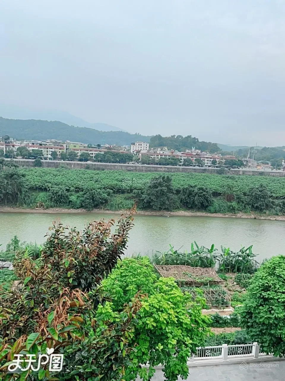 Bán nhà 5 tầng view sông Hồng đẹp lung linh tại đường D1 Phố Mới, giá tốt nhất thị trường