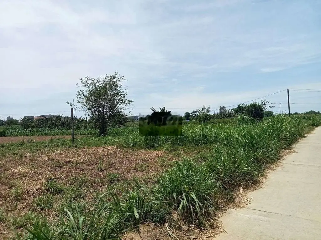 Đất phủ hồng Quãng Ngãi 166m2 giá 135 triệu