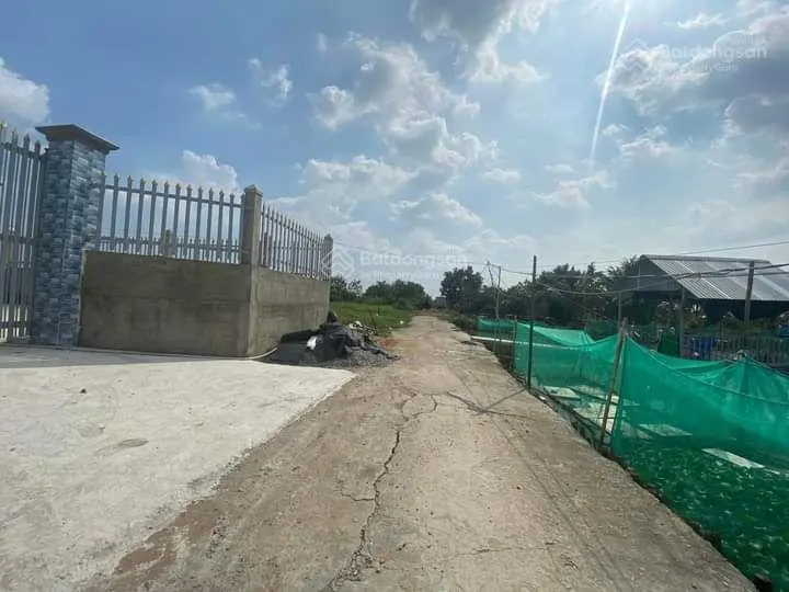 Đất vườn giá rẻ thị trấn cần giuộc lô 500m2 (11,8m x 42,5m), đường xe tải lớn tới đất