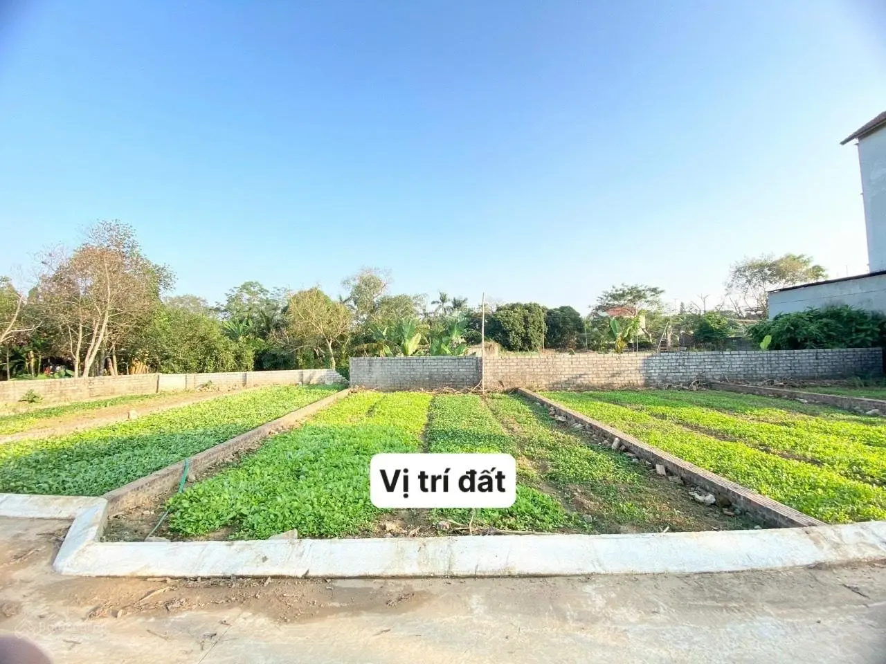 Chính chủ cần bán gấp mảnh đất Phú Mãn gần khu Công Nghệ Cao Hòa Lạc. Giá chỉ 950 tri / 105m2 .