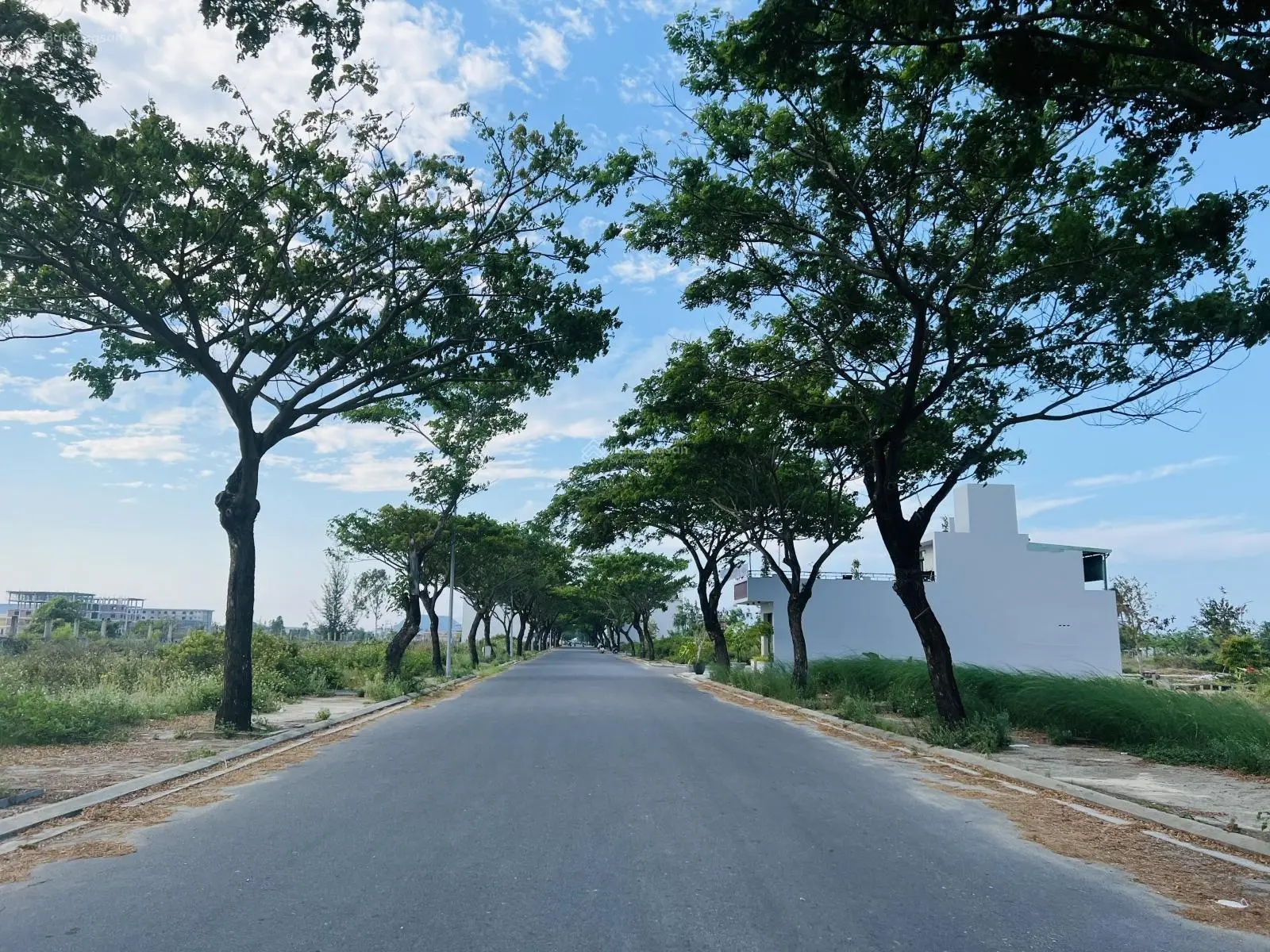 Cần bán gấp lô 180m2 - Hướng Nam - 4.7x tỷ