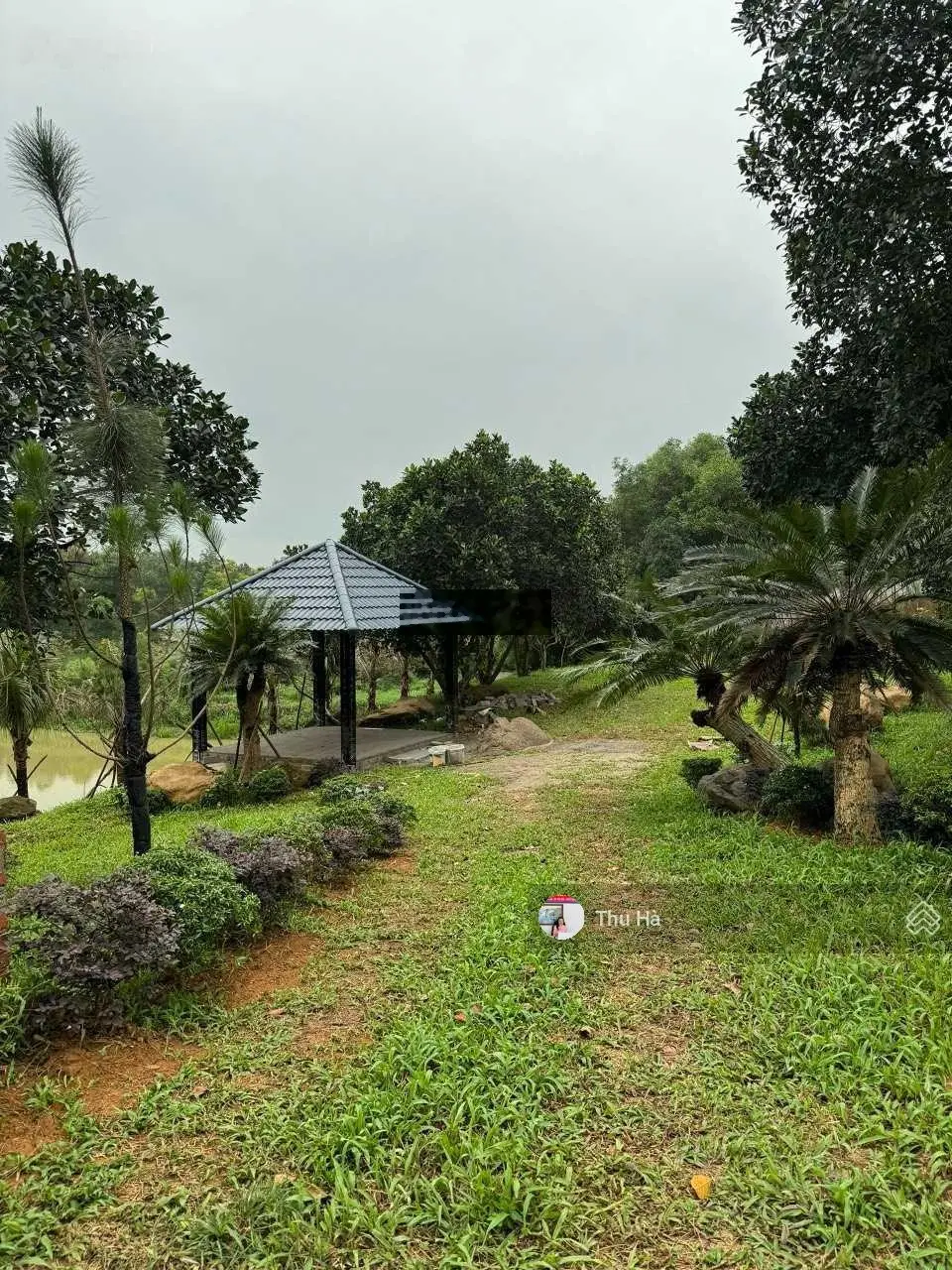 CC bán 4327 m2 đất Trại láng - xã Cổ Đông, 40 m mặt tiền. Đường 2 ô tô tránh nhau