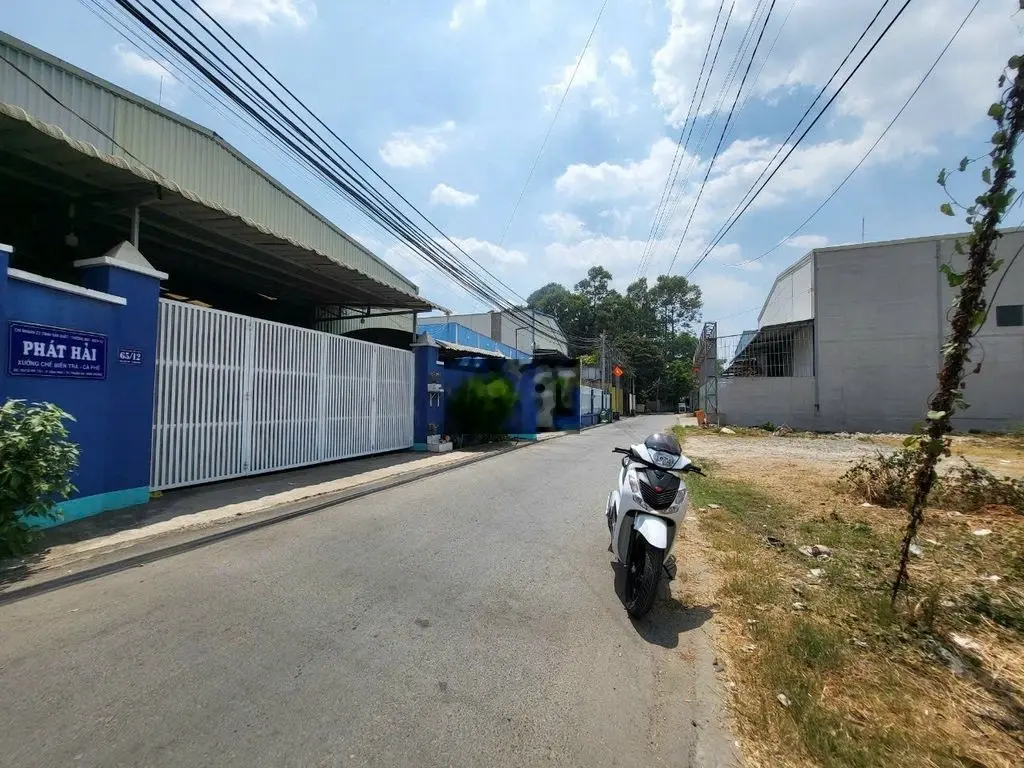 Bán Đất Đầu Tư Sinh Lời 125m2 Đ. Vĩnh Phú 33, Vĩnh Phú, Thuận An, BD