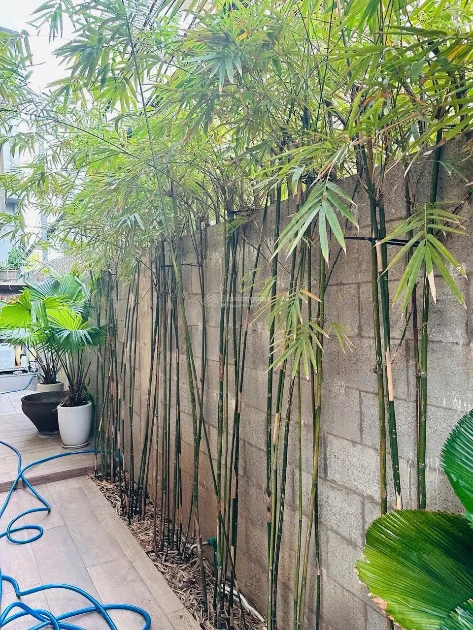 Bán biệt thự 3 tầng 130m2 ngang 9m căn góc Hải Châu, đối diện công viên Châu Á chỉ nhỉnh 11 tỷ