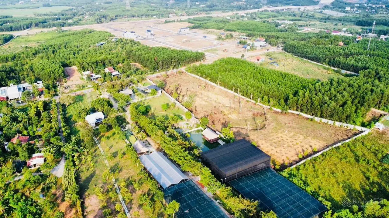 Đất vườn xã Hòa Bắc 12.586m2 có 300m2 đất ở view sông Cu Đê