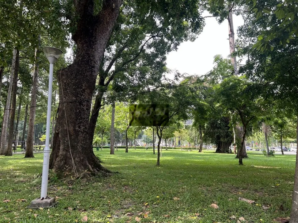 Đất HXH đường Bạch Đằng, 118m2, ngang 7,8m. Thích hợp xây CHDV