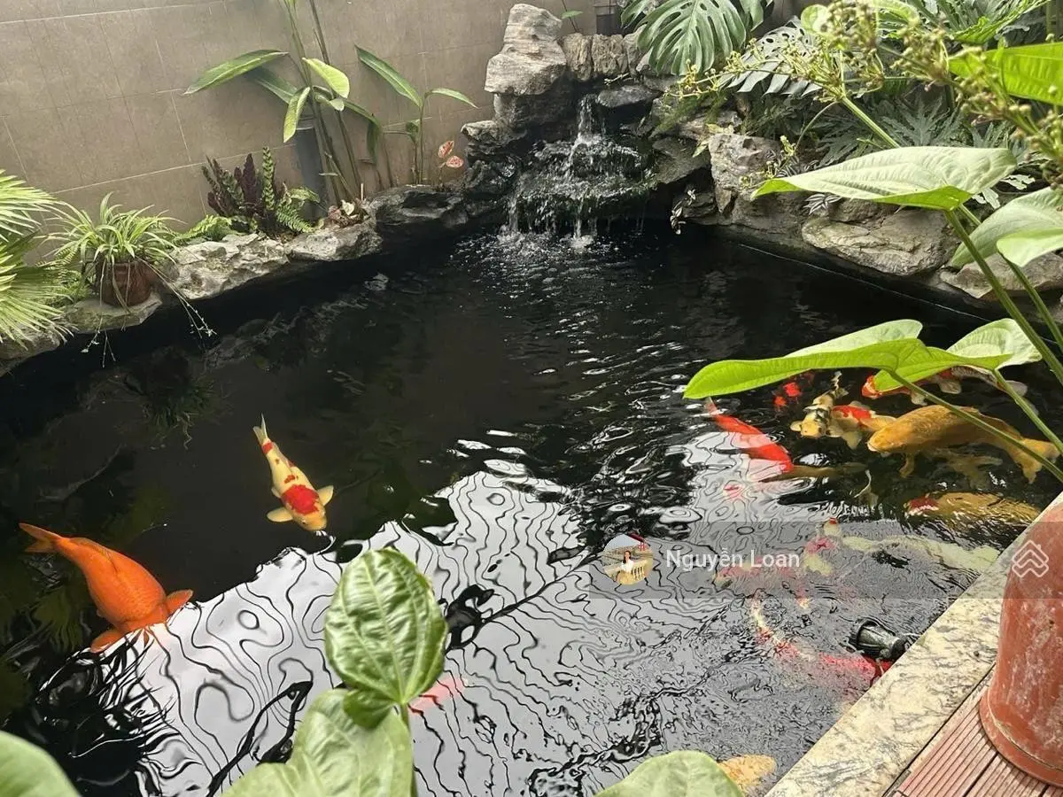 Sân vườn Bể cá Koi Biệt thự phố Tư Đình 120m2 đón cầu Trần Hưng Đạo LH 0333319937