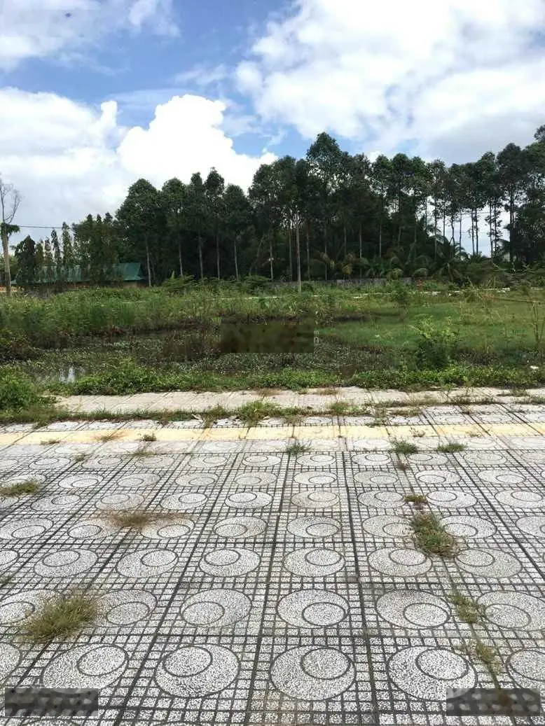 Cần bán nhanh đất đẹp 110m2 đất full thổ cư ngay KDC Minh Linh P5, TP. Vĩnh Long giá thỏa thuận