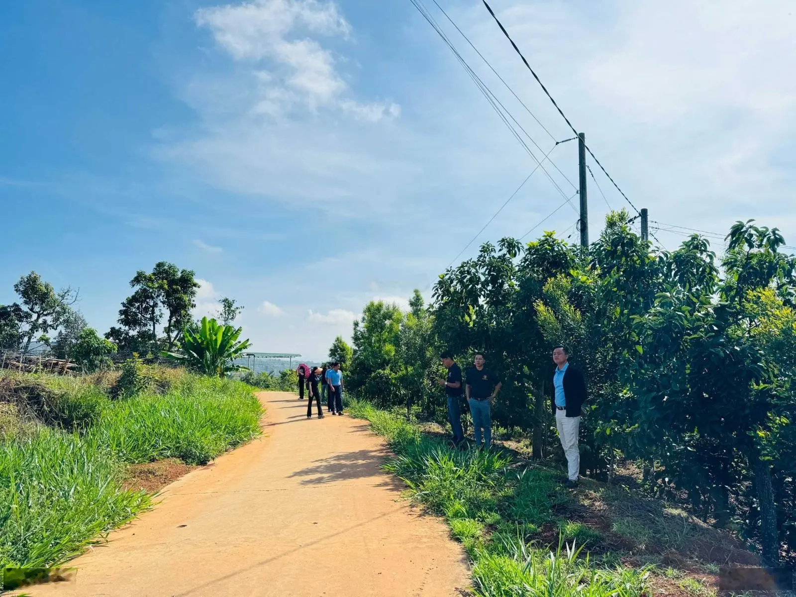 Đất Tân Hà, Lâm Đồng Giá Rẻ - view đẹp, săn mây ngay tại nhà