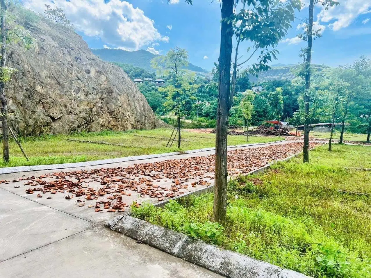 Tài chính dưới 2 tỷ A/C NĐT có ngay lô góc 100.1m2 giá rẻ nhất khu vực xã Phú Mãn Quốc Oai Hà Nội