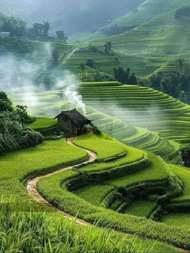 Bán đất tại Huyền Quang, Hải Dương. Diện tích 67,5m2, giá 2,8 tỷ