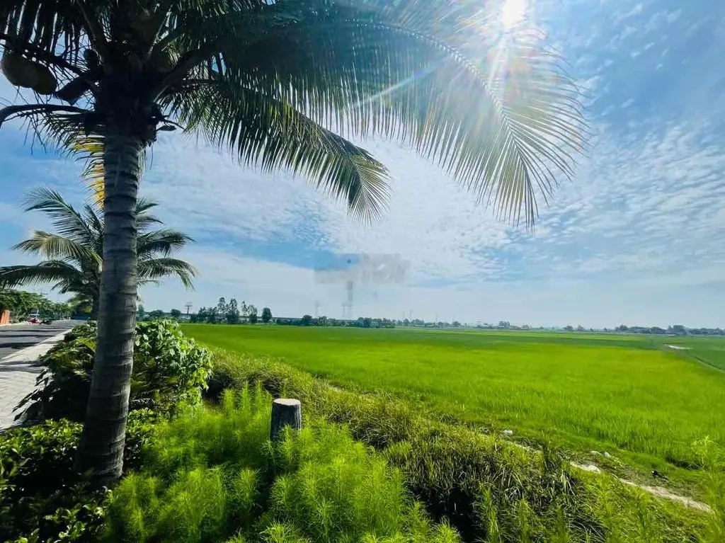 Đất sổ đỏ 100m2 đường Nguyễn Hữu Trí, Bến Lức
