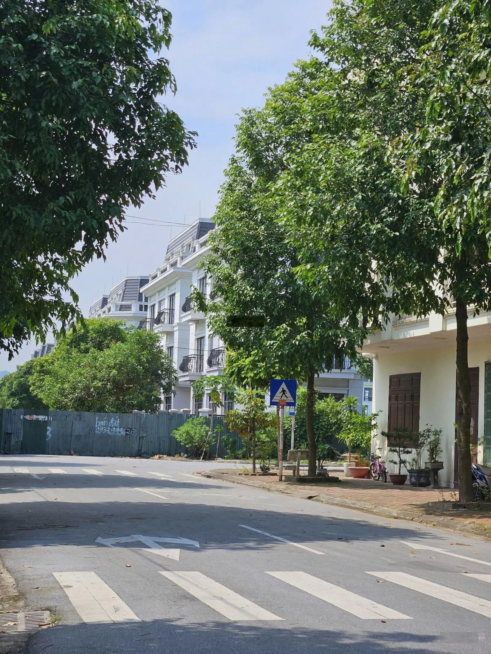 Bán đất Phượng Vỹ làn 2 Trần Đăng Tuyển