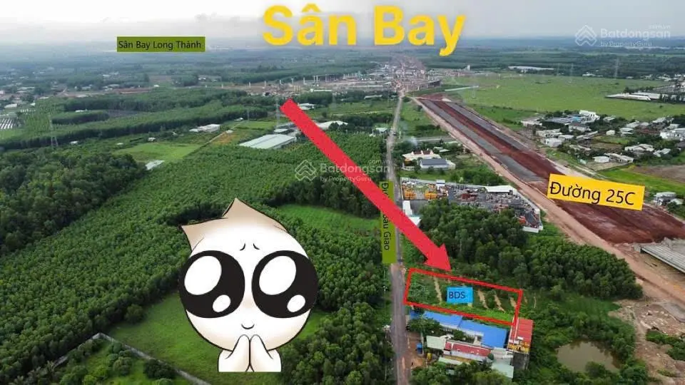 Chính chủ bán gấp lô đất quy hoạch thổ cư cách sân bay Long Thành chỉ 3km mặt tiền đường lớn