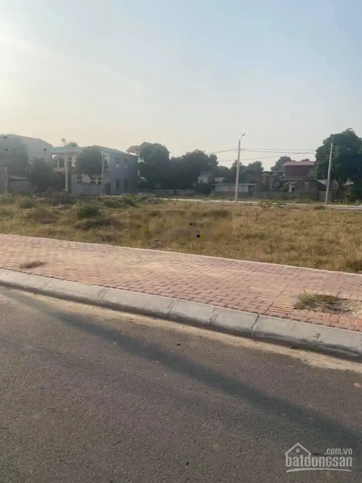 Bán đất đấu giá xanh tý xã Lạc Đạo giáp đường gom Vành Đai 4