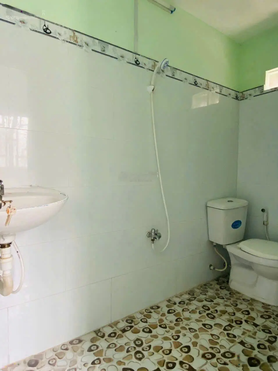 Bán nhà cấp 4 đường đê Mồng Gà tt Cần Giuộc