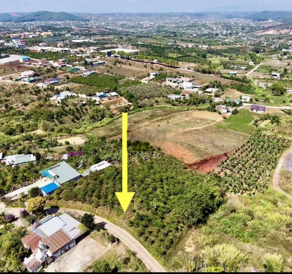 bán đất xã Đông Thanh, 3764m2 mặt tiền 60 mét, có thổ cư 800m2.