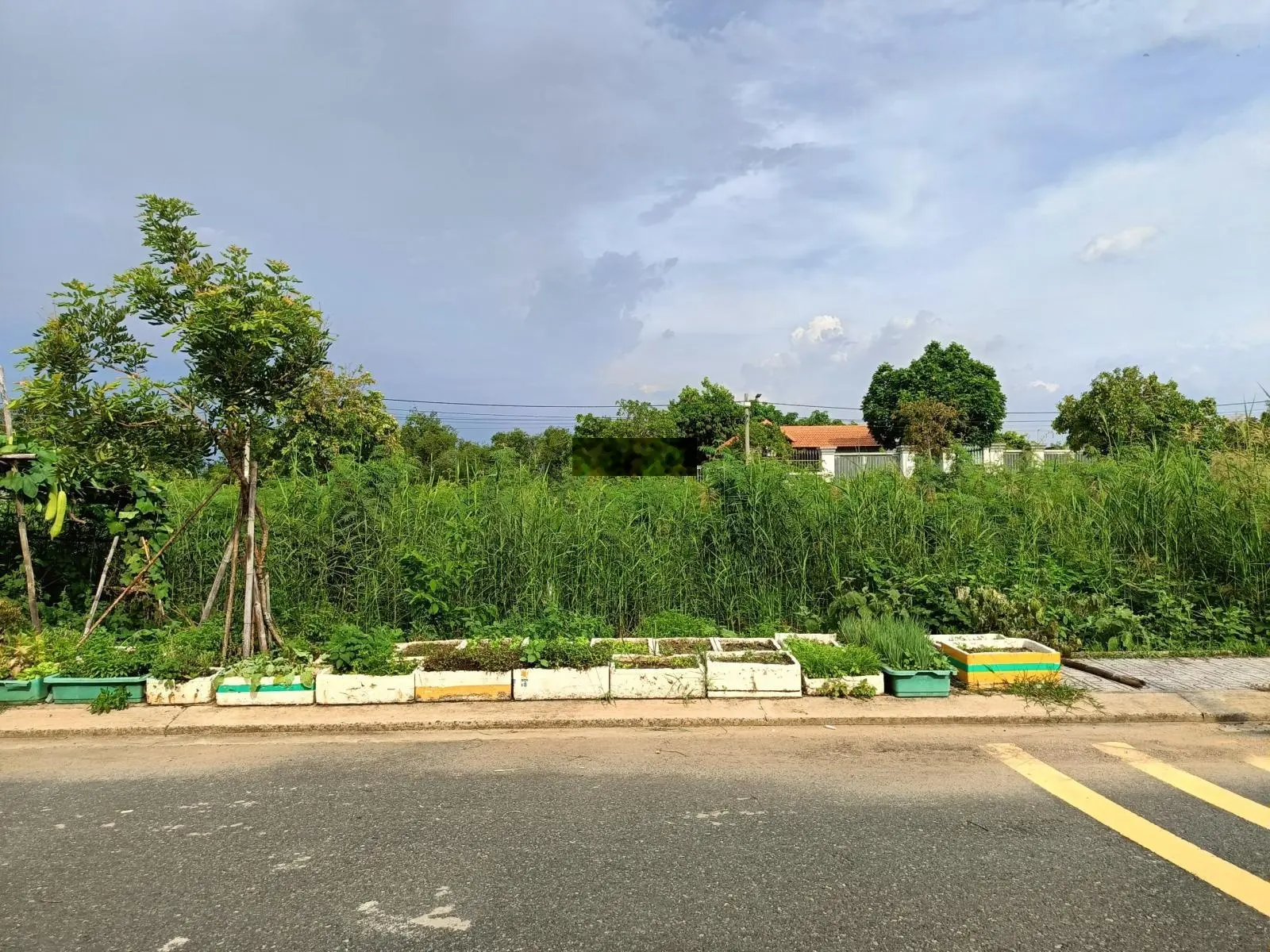 56m2(4x14), DA Đảo Kim Cương, sạch đẹp, hướng T, B, đường nhựa 9m. P Trường Thạnh, TP Thủ Đức, HCM