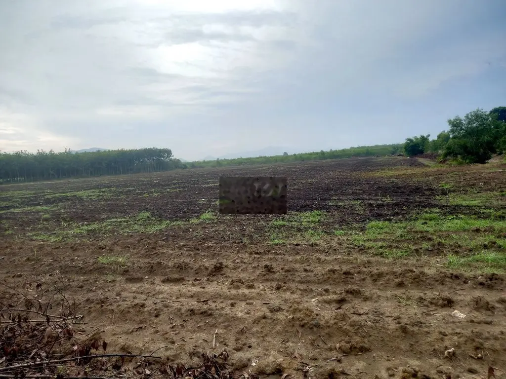 3.2ha đất 2 mặt tiền có đến 235m mặt tiền nhựa xe hơi, vuông vức đẹp