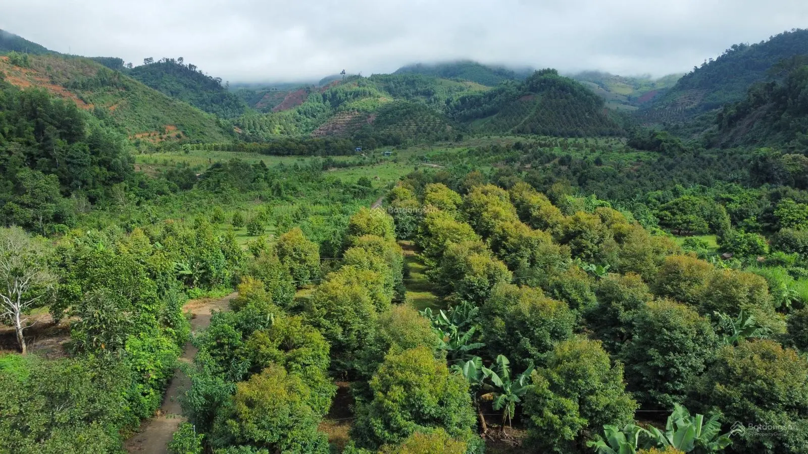 Đất mặt đường sát suối đá tại Khánh Sơn, Khánh Hòa, phù hợp phân lô làm vườn