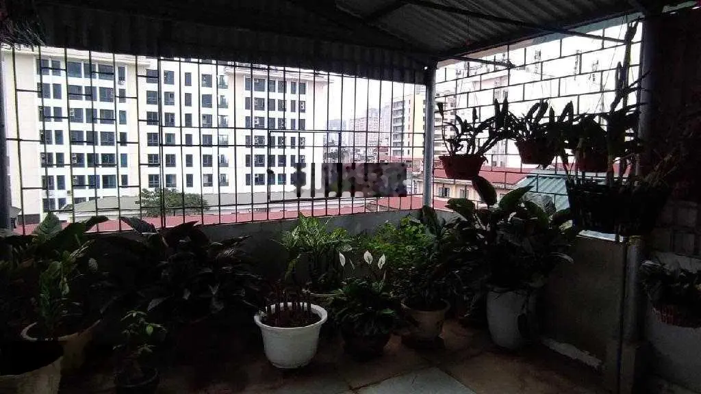 Cực hiếm, bán nhà đẹp Chợ Xanh Q Cầu Giấy, ô tô tránh - kinh doanh ngày đêm, 35,6m2, giá 12 tỷ