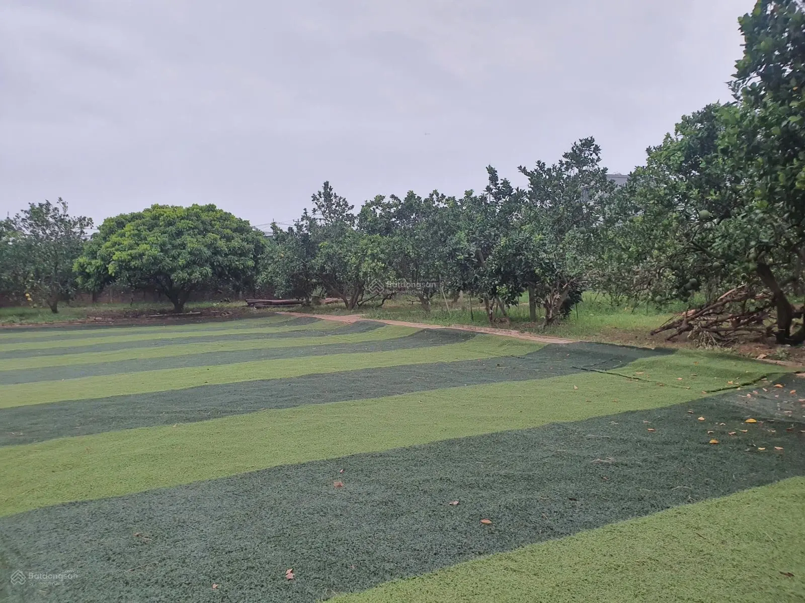Em bán giúp người nhà đất vườn có sẵn nhà, DT đất 1.380m2, 9 tỷ 700 tại Tân Phú Quốc Oai, Hà Nội