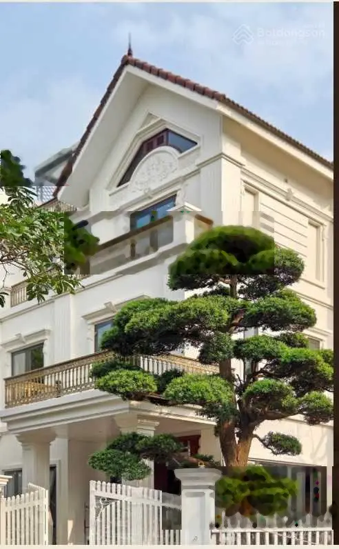 Bán lô S lập Hoa Sữa 6. 255m2, HT phong cách hiện đại, có thang máy, view ngã ba sông, giá 56 tỷ