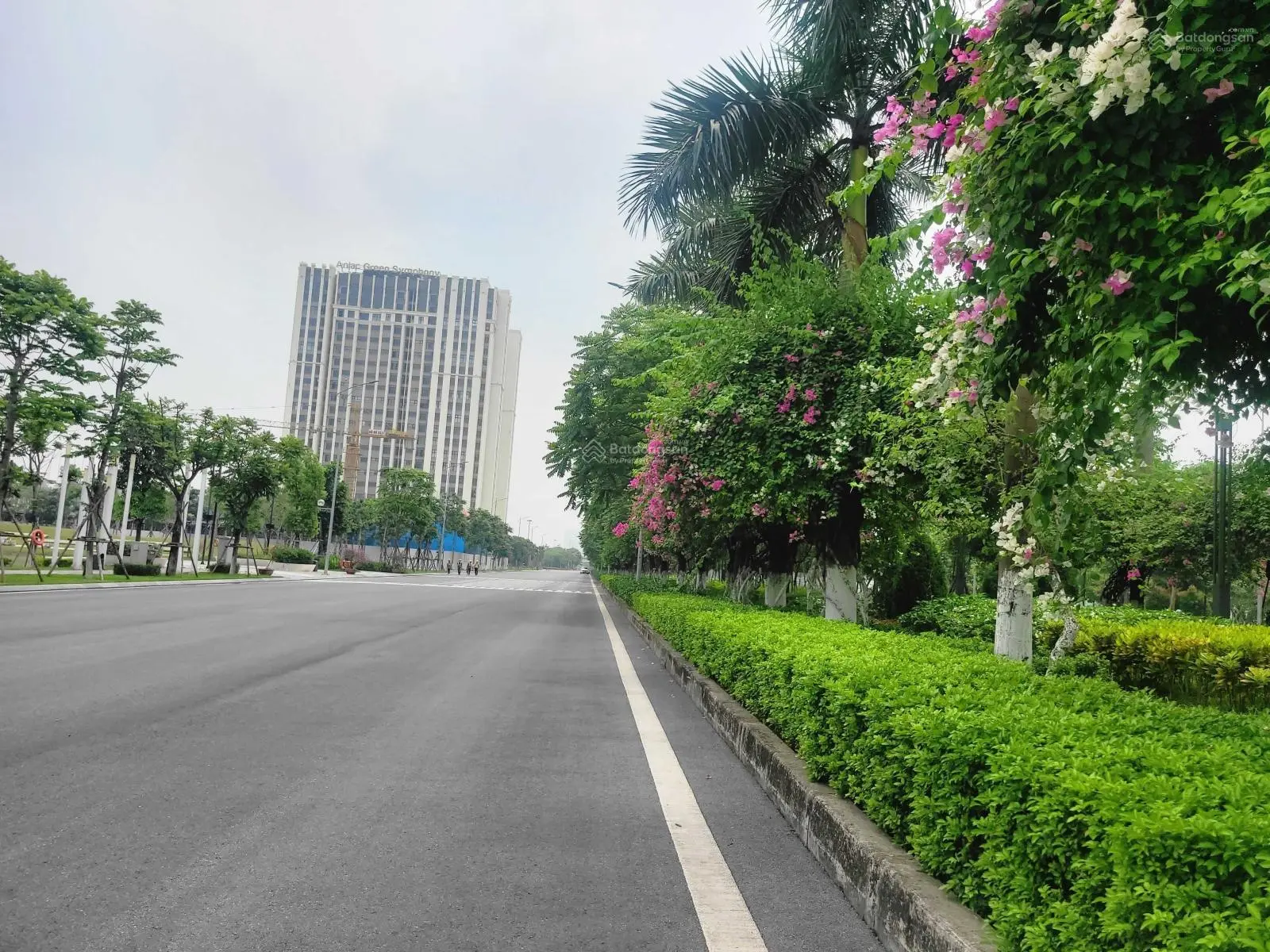 Hiếm! Chính chủ bán biệt thự đơn lập, xẻ khe 300m2 KĐT An Lạc Green Symphony