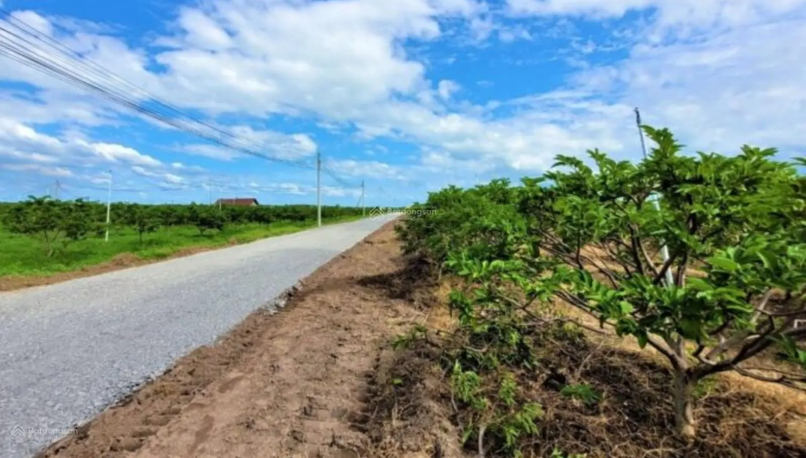 420tr 3 lô liền kề view núi 10x53 hơn 500m2 CLN được phủ thổ cư lên thổ thoải mái đường 7m ô tô SHR