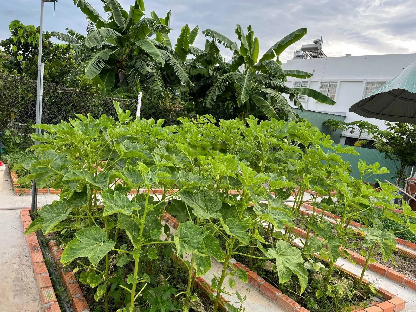 Chính chủ gửi bán căn nhà phố tâm huyết khu đô thị Ecolake Mỹ Phước, Thành phố Bến Cát, Bình Dương