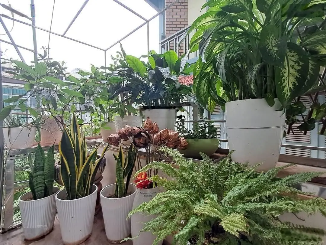 Bán nhà mặt phố vạn bảo. 50/70 m2, 9 t thang máy, lô góc, ôtô tránh, kinh doanh sầm uất. giá 30 tỷ