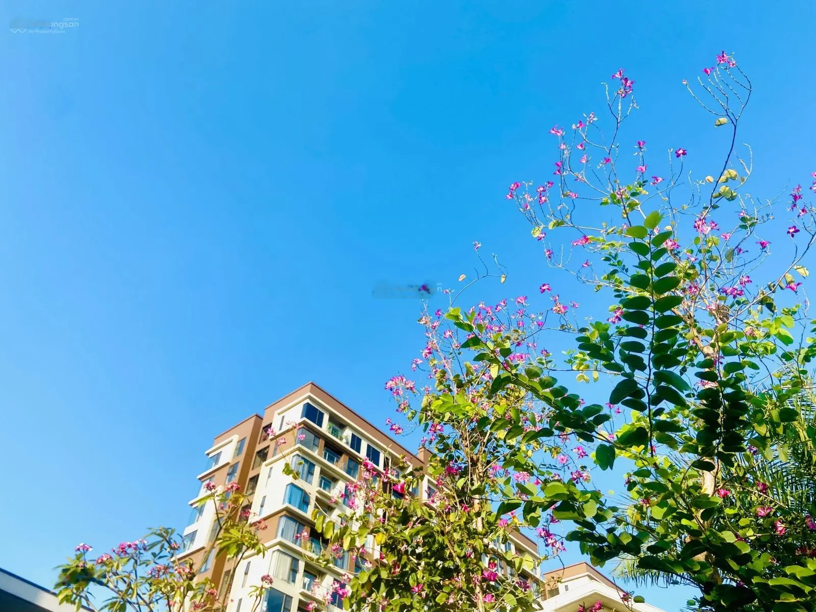 Bán gấp CH Mizuki 72 m2 giá 2.880 tỷ sổ hồng sẵn view thoáng tầng cao