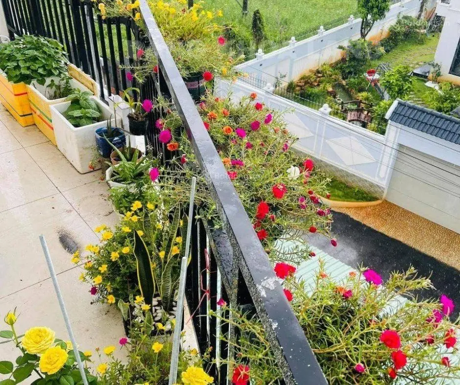 Bán Căn hộ dịch vụ góc Trục đường số Linh Đông TP Thủ Đức thu nhập cao giá rẻ 230m2