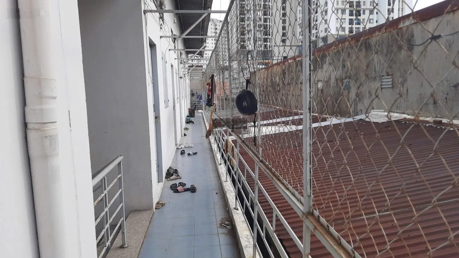 Chính Chủ Bán Gấp Mặt Tiền Đường An Bình 257m2 Thu Nhập 50tr/th Kinh doanh Đa Ngành Nghề