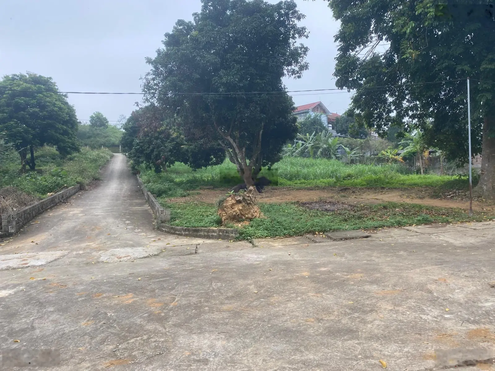 Bán lô góc 535m2 tuyệt đẹp tại Yên Bình, Thạch Thất, HN