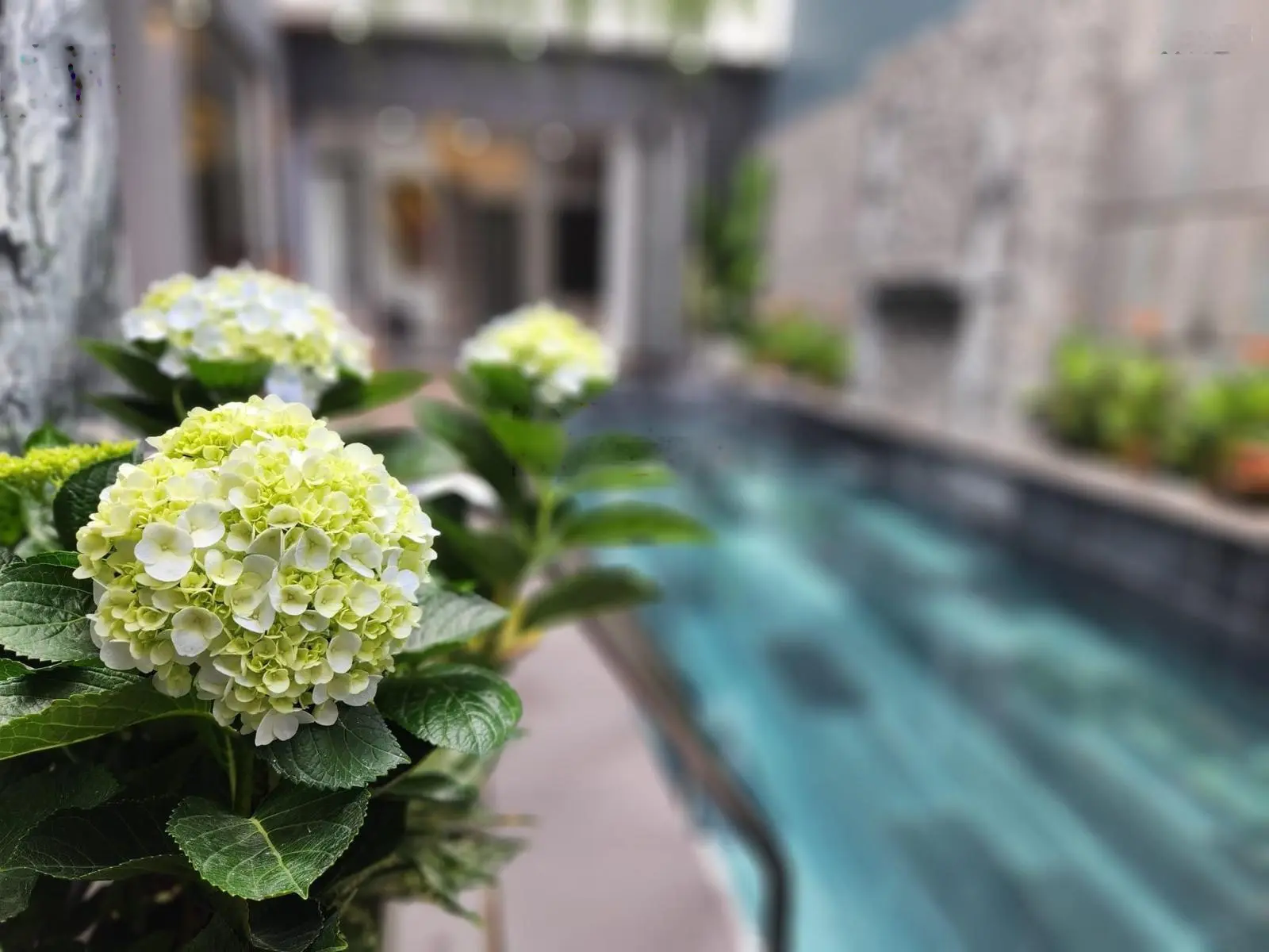 Villa thu nhỏ bên Vịnh Đà Nẵng -