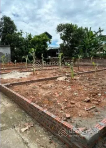 Bán 100m2-300m2 đường 7m Đức Thượng, Hoài Đức