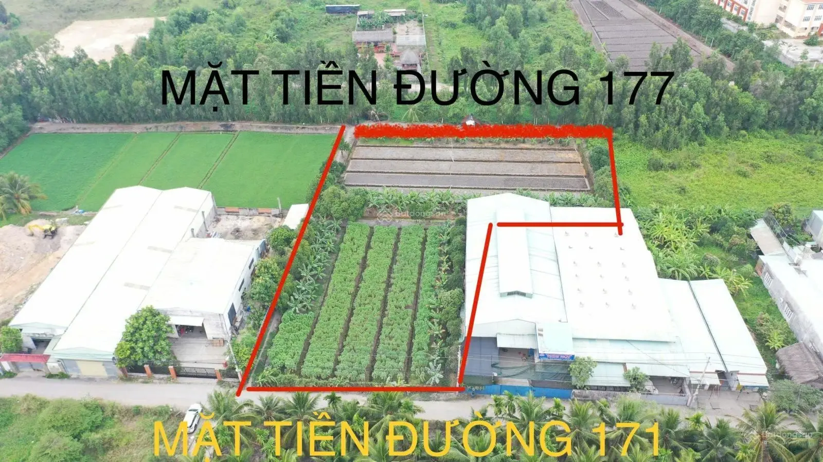 3900m2 đất full thổ cư đường Container, xã Bình Mỹ thích hợp làm trang trại nhà vườn nghỉ dưỡng