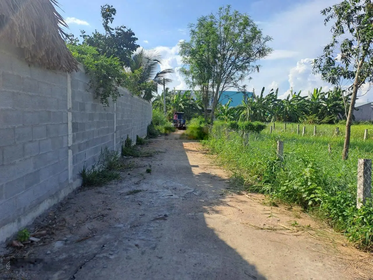 Đất xây nhà vườn có thổ cư tại thị trấn Cần Giuộc, đường xe hơi, công chứng ngay