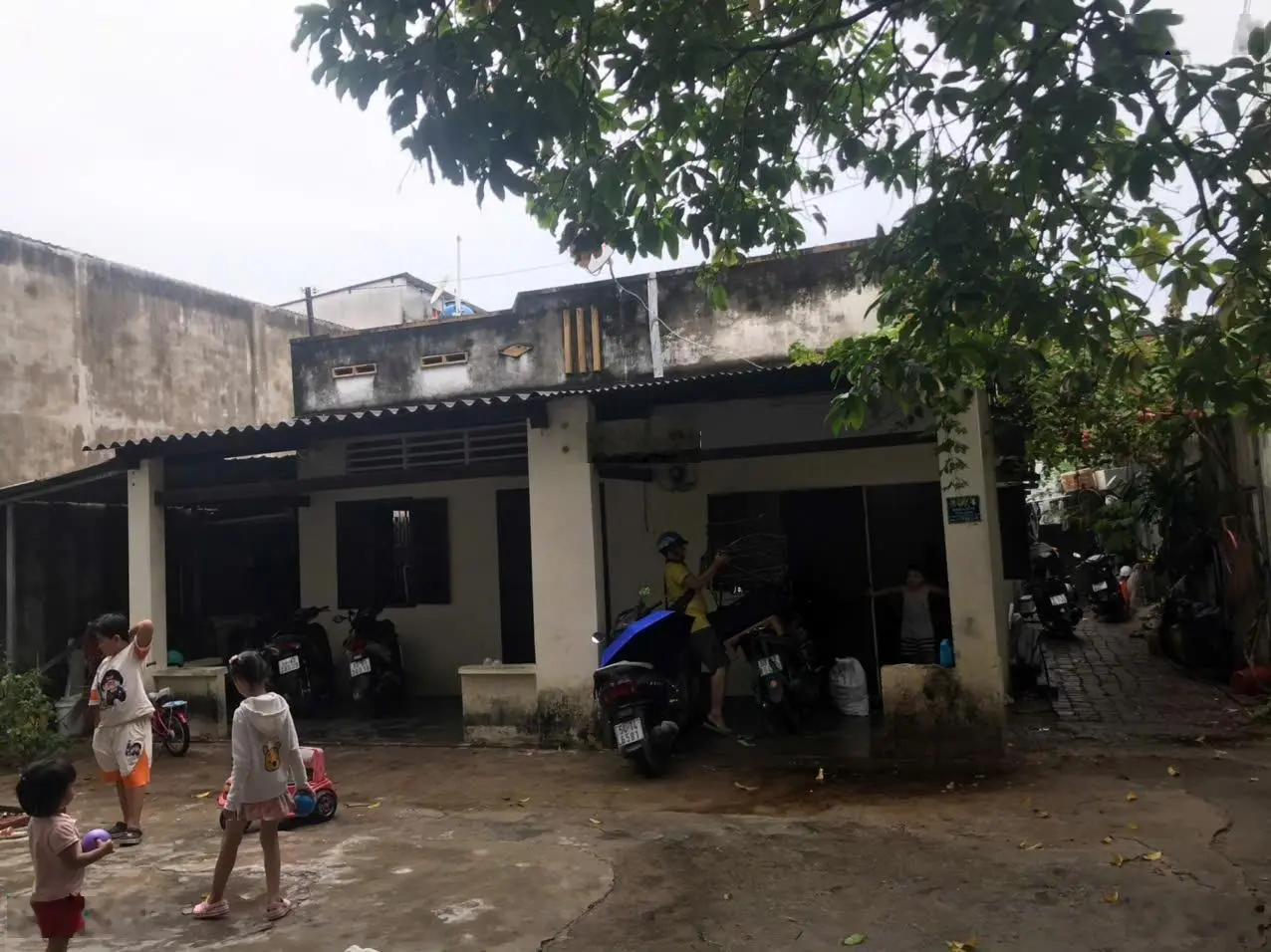 Chính chủ cần bán nhà đất mặt tiền hẻm hàng tre phường long thạnh mỹ, tp. thủ đức