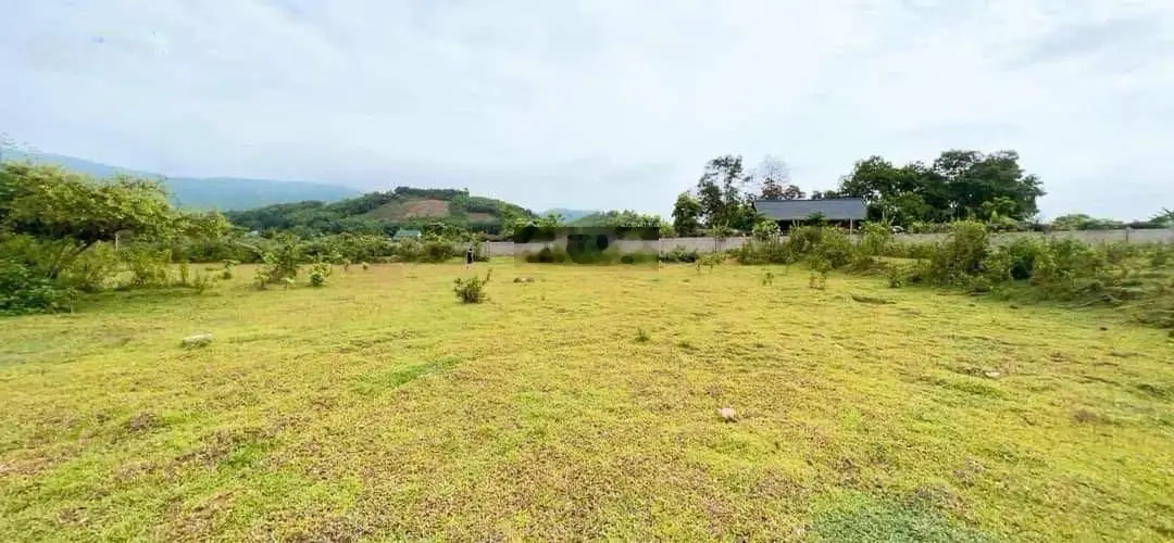 E muốn bán DT 1,5ha, có 1,3ha đất ở còn lại đất vườn, thế đất bằng phẳng, xe công vào được tận đất