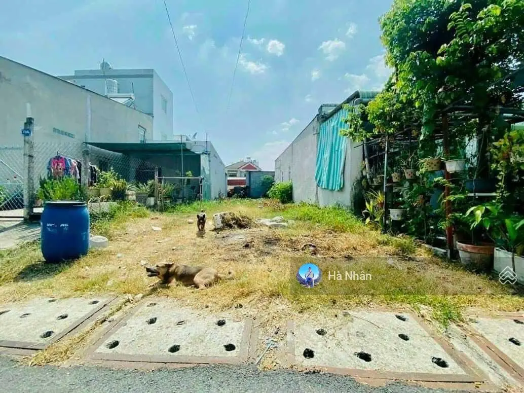 Giá cực rẻ MT Đ. Lê Anh Xuân, TT Lấp Vò, Đồng Tháp. 500tr/120m2/SHR. Bao sang tên công chứng