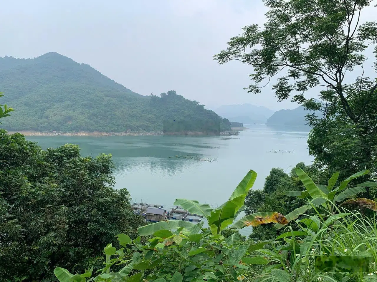 Siêu phẩm 1700m2 đất ở đô thị 240m2 còn lại là đất vườn trồng cây lâu năm tại Thái Bình, Hòa Bình