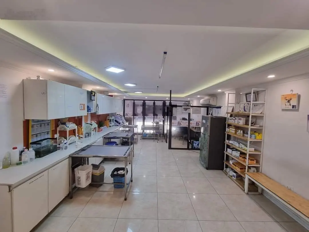 Bán tòa nhà văn phòng siêu vip 8T, 60m2 Phạm Tuấn Tài - mặt phố quận Cầu Giấy