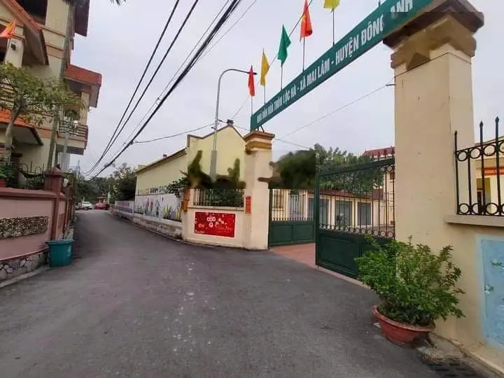 Bán đất 2 mặt tiền Lộc Hà - Mai Lâm - Đông Anh - Hà Nội .
