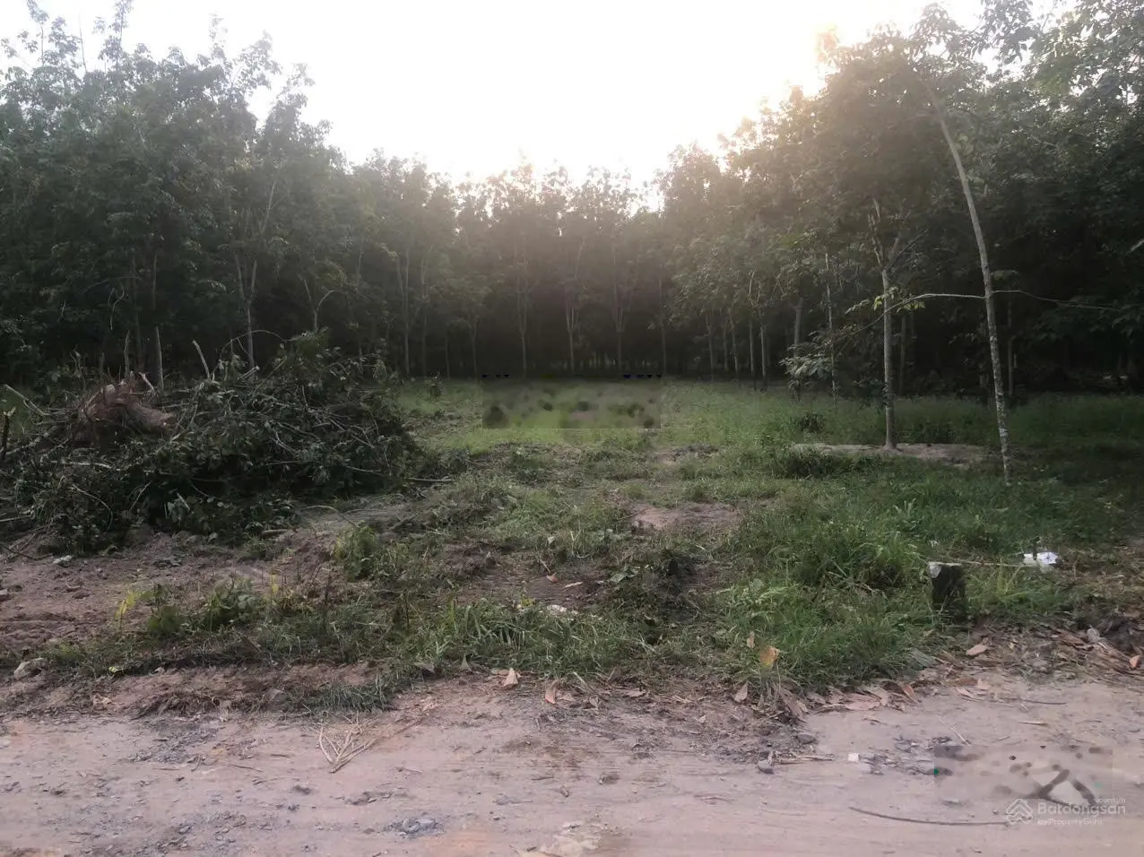 Lô đất 5.7x53m, Phạm Văn Xuyên, P3, ra chợ P3, CMT8