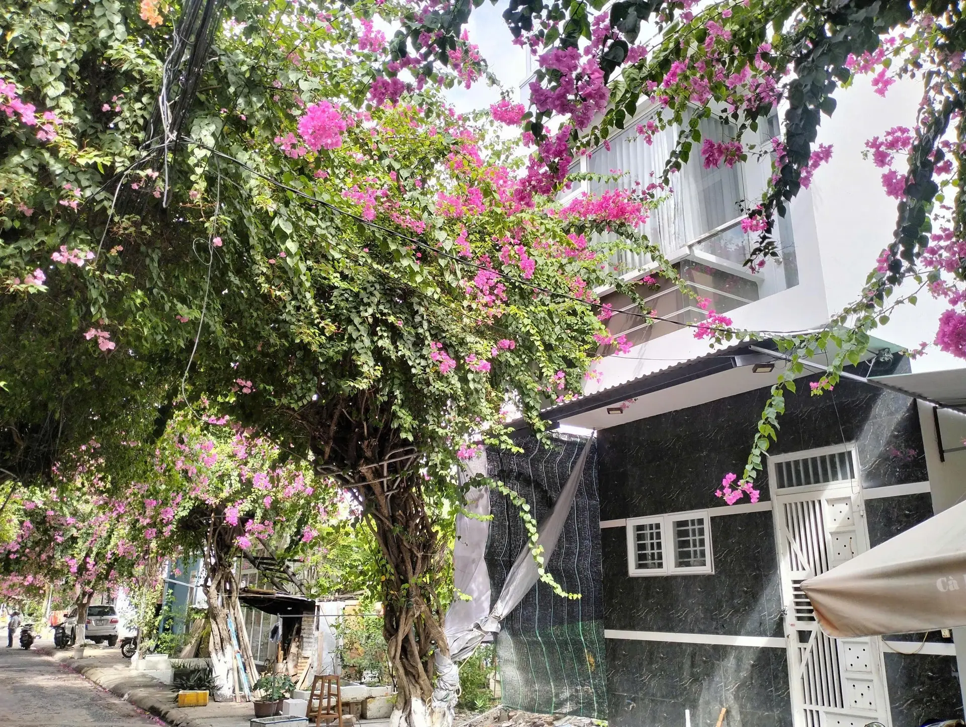 Bán nhà 2 mặt tiền đường Bạch Thái Bưởi Hòn Rớ 1, Nha Trang
